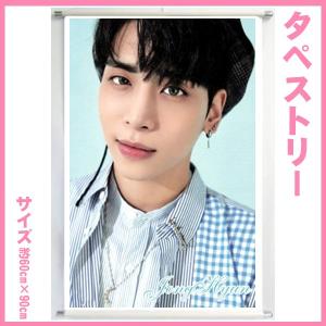 送料無料☆SHINee シャイニー ジョンヒョン タペストリー tape59-4