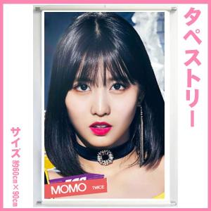 送料無料☆TWICE ツゥイ 60cm×90cm タペストリー tape22-8