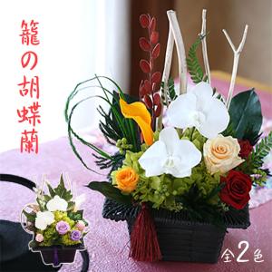 | プリザーブドフラワー | プレゼント 花 仏花 お祝 ギフト 和風 「籠の胡蝶蘭」 長寿祝 開店祝 開院祝 退職祝 御供 お供 仏事｜フラワーギフト ブーケブランシェ