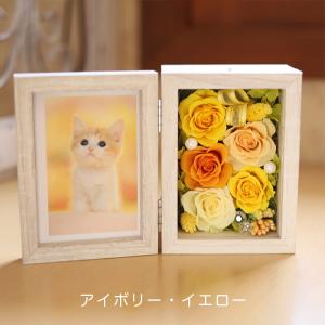 | プリザーブドフラワー | プレゼント 誕生...の詳細画像3