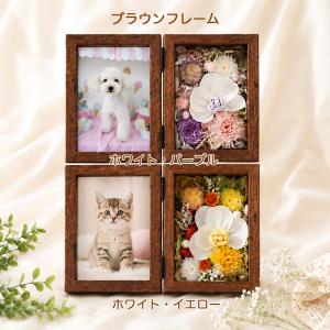 | プリザーブドフラワー | 写真立て 「ソー...の詳細画像1