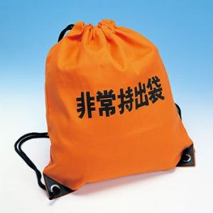 非常持出袋A(避難 持ち出し袋 持出袋 持出し袋 非常用)...