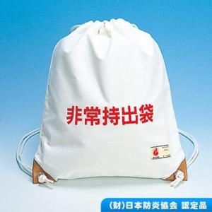 非常持出袋B 防災グッズ 避難 持ち出し袋 持出袋 持出し袋 必要なもの