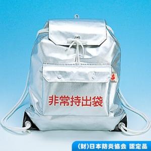 非常持出袋C(防災グッズ 避難 持ち出し袋 持出袋 持出し袋...
