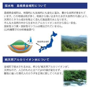 保存水 純天然アルカリ 7年保存水 2リットル...の詳細画像2