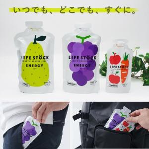 非常食 災害食 ゼリー LIFE STOCK ...の詳細画像5