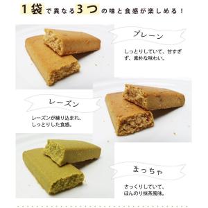非常食 保存食 The Next Dekade...の詳細画像4
