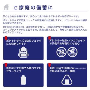 リポビタンゼリー 長期保存用 100g×1袋 ...の詳細画像2
