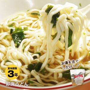 非常食 保存食 即席うどん 1食パック 麺類 防災用品 3年保存 防災グッズ 賞味期限2029年2月迄
