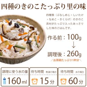 非常食 アルファ米 きのこごはん 100g 尾...の詳細画像2