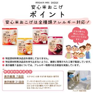 非常食 安心米おこげ カレー味 スナック アル...の詳細画像3