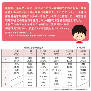 非常食 アルファ米 安心米 とうもろこしご飯 ...の詳細画像3