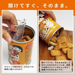 hokka カンパン コンペイ糖入り 乾パン ...の詳細画像2