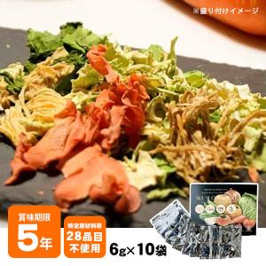 ドライフード 乾燥野菜 1食分の高知乾燥野菜ミックス6g ×10袋入り BOX エアードライ 個包装 必要なもの 防災グッズ