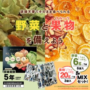 ドライフード ドライフルーツ 高知 野菜ミック...の詳細画像1