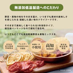 ドライフード ドライフルーツ 高知 野菜ミック...の詳細画像2