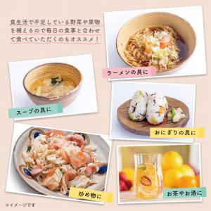 ドライフード ドライフルーツ 高知 野菜ミック...の詳細画像4
