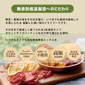 ドライフード 乾燥野菜 1食分の高知乾燥野菜ミ...の詳細画像2