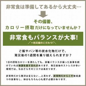 ドライフード 乾燥野菜 1食分の高知乾燥野菜ミ...の詳細画像3