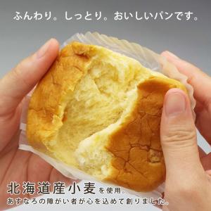 非常食 災害備蓄用パン ECOボックス 贈答用...の詳細画像4