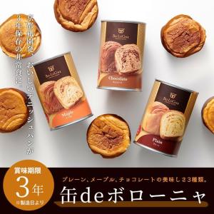 非常食 ボローニャの美味しいパンの缶詰 缶deボローニャ