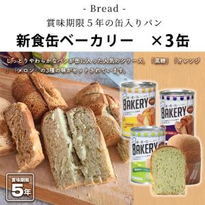 非常食セット アスト 新・備非常食 1日3食3...の詳細画像4