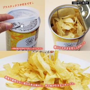 非常食 湖池屋プライドポテト ひとくちカット ...の詳細画像3