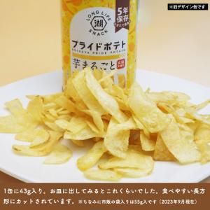 非常食 湖池屋プライドポテト ひとくちカット ...の詳細画像4