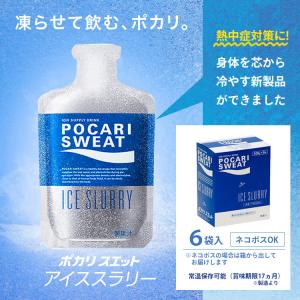 ポカリスエット アイススラリー 100g×6袋...の詳細画像1