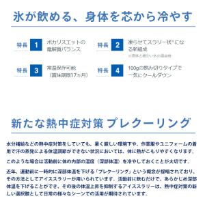 ポカリスエット アイススラリー 100g×6袋...の詳細画像2