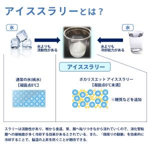 ポカリスエット アイススラリー 100g×6袋...の詳細画像3