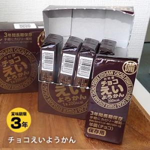 井村屋の羊羹 チョコえいようかん 賞味期限３年 ５本入り