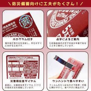 井村屋 えいようかん 非常食 保存食 5本入り...の詳細画像3