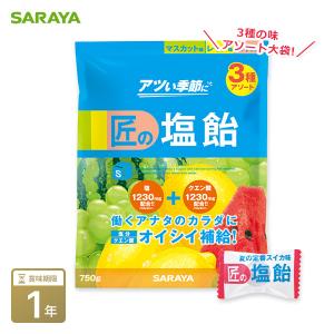 SARAYA（サラヤ） 匠の塩タブレット うましゅわサイダー味 500g 28048