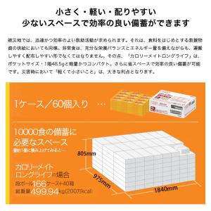 大塚製薬 カロリーメイト ロングライフ 2本入...の詳細画像4
