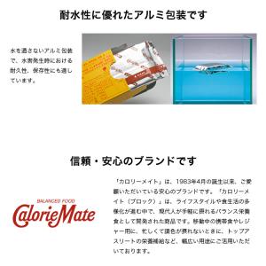 大塚製薬 カロリーメイト ロングライフ 2本入...の詳細画像5