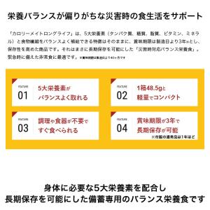 非常食 カロリーメイト ロングライフ 2本入 ...の詳細画像2