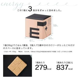 非常用食品 萬有栄養 ER PLUS イーアー...の詳細画像2