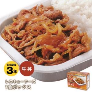 レスキューフーズ１食ボックス 牛丼 ホリカフーズ【賞味期限2028年9月4日迄】