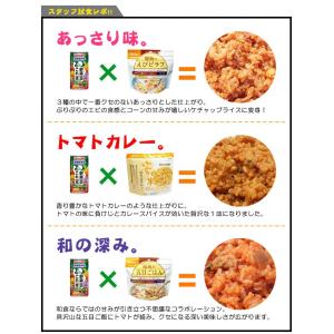 非常食 保存食 セット これイチライスセット ...の詳細画像4