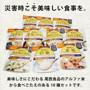 非常食 5年保存 非常食セット アルファ米10...の詳細画像2