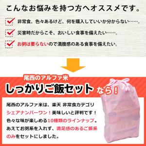 非常食 5年保存 非常食セット アルファ米10...の詳細画像3