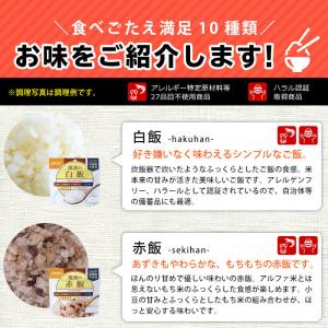 非常食 5年保存 非常食セット アルファ米10...の詳細画像4