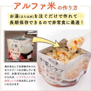 非常食 5年保存 アルファ米 非常食セット 1...の詳細画像3