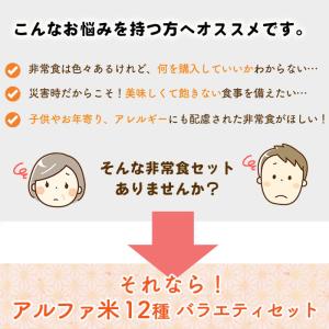 非常食 5年保存 アルファ米 非常食セット 1...の詳細画像4