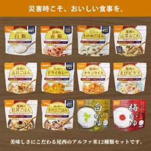 非常食セット アルファ米 12種類 尾西食品 ...の詳細画像2
