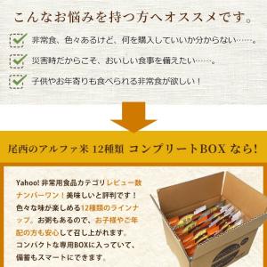 非常食セット アルファ米 12種類 尾西食品 ...の詳細画像4
