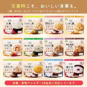爆買 非常食 防災食 保存食 セット 安心米 ...の詳細画像2