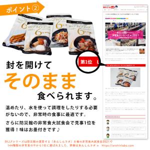 非常食 防災食 セット レトルトおかず10種セ...の詳細画像3
