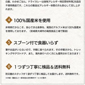 非常食 セット 尾西食品 アルファ米 人気ベス...の詳細画像4